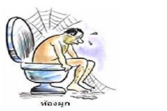 Tongpook2