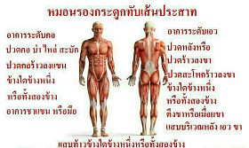 Coluna vertebral cervical ou pescoço 1