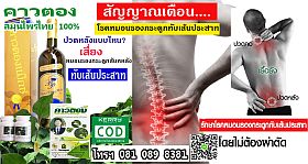 Coluna vertebral cervical ou pescoço 10